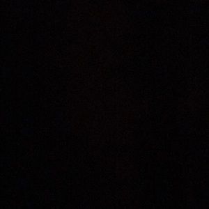 Meet your Posher, Angelina